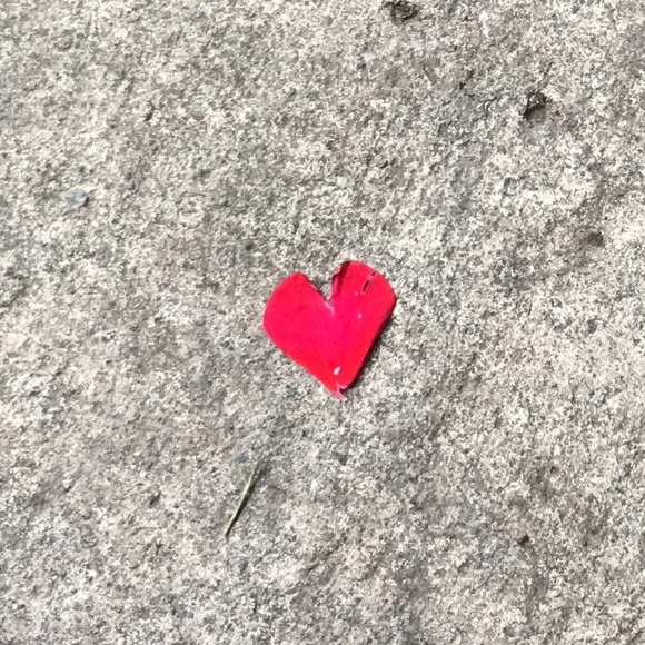 Meet your Posher, Ruby - Picture 1 of 1